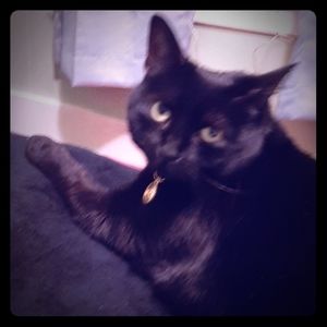 Meet your Posher, Lorretta